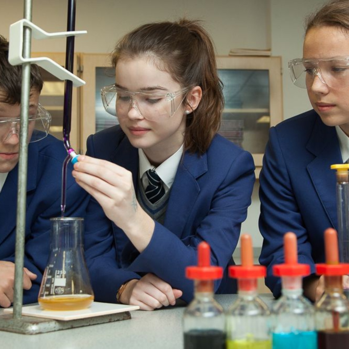 The Cardinal Wiseman Catholic School - Year 9 Science